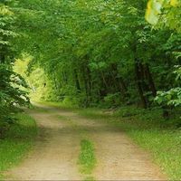 محمد الرعيض