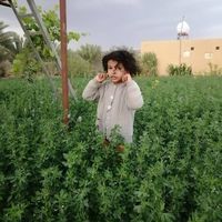 عبدالرحمن الغايب