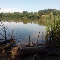 велин петров