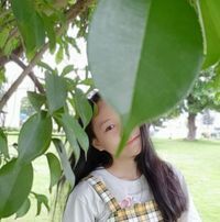 Ngan Anh