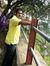 Nitin T...
