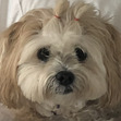 Madeleine