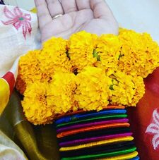 অলকানন্দা 