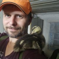 Александр Козорез