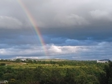 nandana