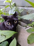 Zee