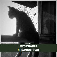 Марина Федоренко