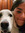Emily D...