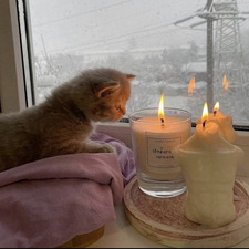 ana &#x1f337;&#x1fa90;&#x1f4da;