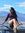 Saily M...