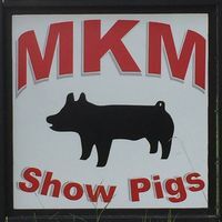 Mkm Pig