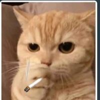 Hossamashraf Rashwan