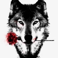 خالد المطيري