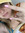 katie (katieyant) | 3 comments