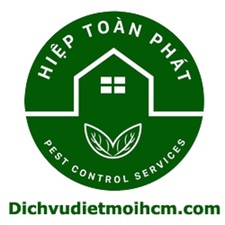 Dịch Vụ Diệt Mối Tại TPHCM Uy Tín Giá Rẻ & Chuyên Nghiệp #1