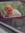 Katie Mott | 3 comments