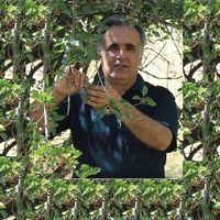 سالار هورمزیار