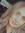 Ashley