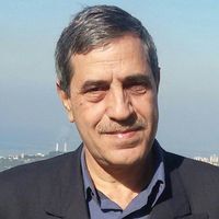 Michal Shammas