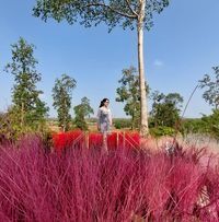 กมลทิพย์ ธารฯ