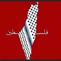Hossam Alshami