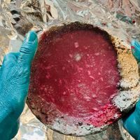 Danielle Cunningham-Tierney