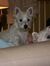Sally D...