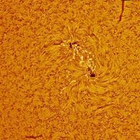 Γιάννης Ρόδης