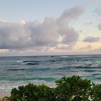 Nancy DeGhetto-Murphy