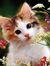 Fathima...