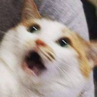 Phúc Nguyên