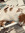 Soph | 1 comments