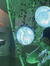 rea