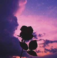 محمد الطآقي