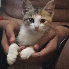 Angelaaglez