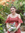 member photo member photo