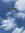 sydney  | 4 comments