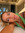 Livia