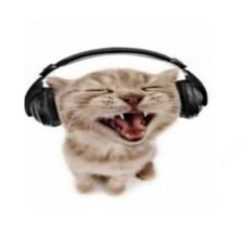 rAa☆