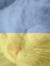 Andrii Vedmid