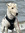 Emme0528