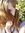 Emilie