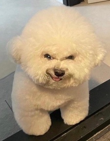 Steven