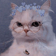 هــٰجـر حَــٰج مُـحــمَّد