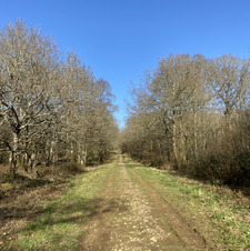 ✧･ﾟ: *✧･ﾟ:* chellie *:･ﾟ✧*:･ﾟ✧