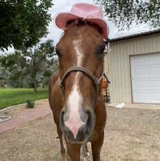 Jacquelyn Stubblefield