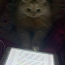 إســراء&#x1f33b;.