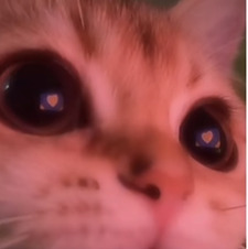 Naj