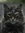 Grizabella