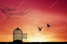 Manar Kenawy